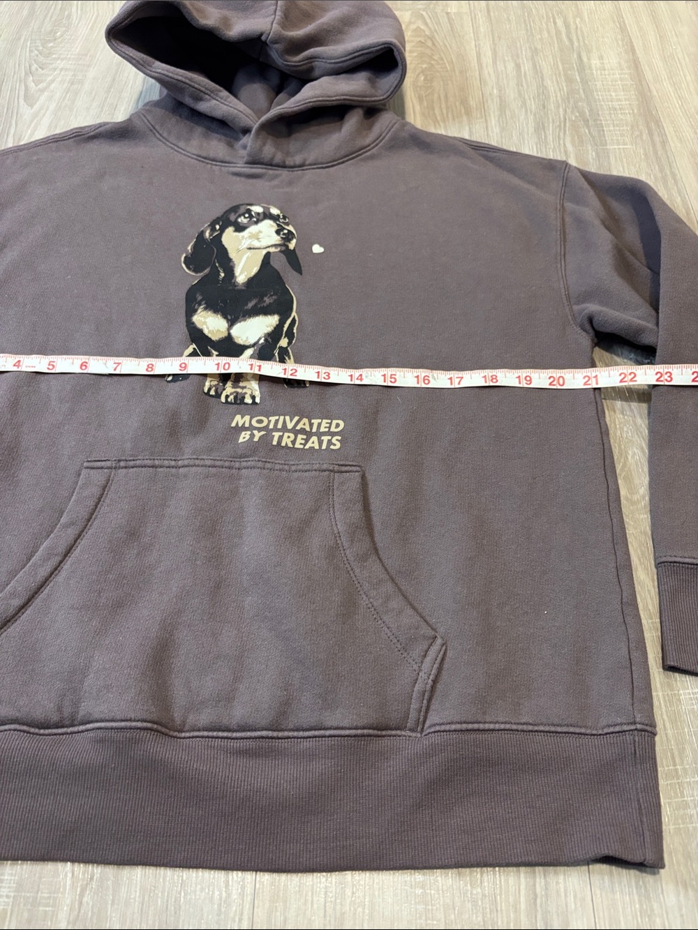 Wild Fable “Motivated by Treats” Dachshund Hoodie - Picture 10 of 11